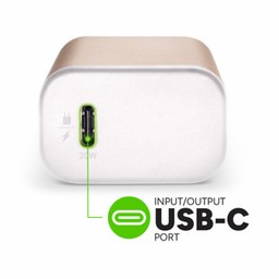 USB-C PD Input/Output || Recharge the powerstation mini or charge portable devices with the USB-C PD port. ** Gold USB-C PD Input/Output || Recharge the powerstation mini or charge portable devices with the USB-C PD port. ** Gold