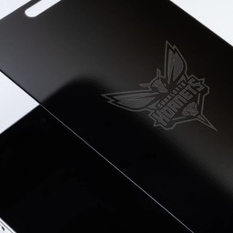 Charlotte Hornets - Custom Privacy Glass Charlotte Hornets - Custom Privacy Glass