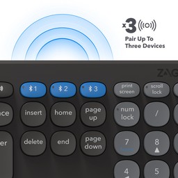 Pair with up to Three Devices
||This full-sized keyboard pairs via Bluetooth with up to three devices
without the need for additional pairing software Pair with up to Three Devices
||This full-sized keyboard pairs via Bluetooth with up to three devices
without the need for additional pairing software